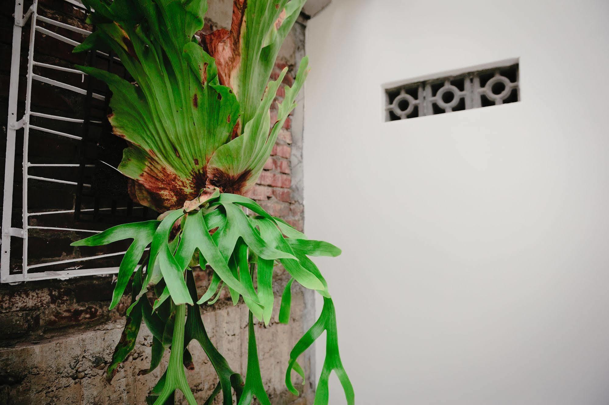 365.Hostel Tainan Eksteriør bilde